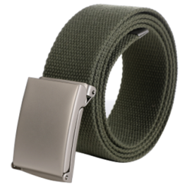 Seasonal Web Belt - Green