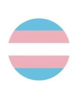 Transgender Pride Pin Badge LGBTQ+ Badges