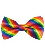 Gay Pride Bow Tie In Rainbow Colours.