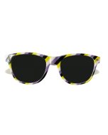 Non Binary Pride Wayfarer Sunglasses LGBTQ+ Sunglasses