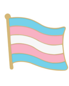 Transgender Pride Flag Shaped Badge LGBTQ+ Badges