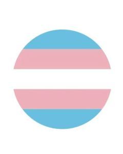 Transgender Pride Pin Badge LGBTQ+ Badges