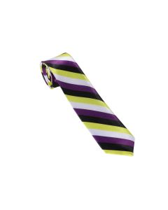 Non Binary Pride Necktie Gay Pride Ties and LGBTQ+ Accessories