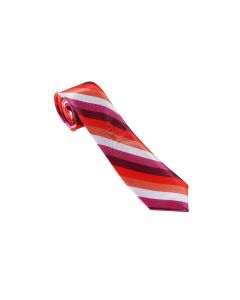 Lesbian Pride Necktie LGBTQ+ Ties and Accessories