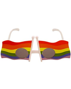 Gay Pride Flag Sunglasses